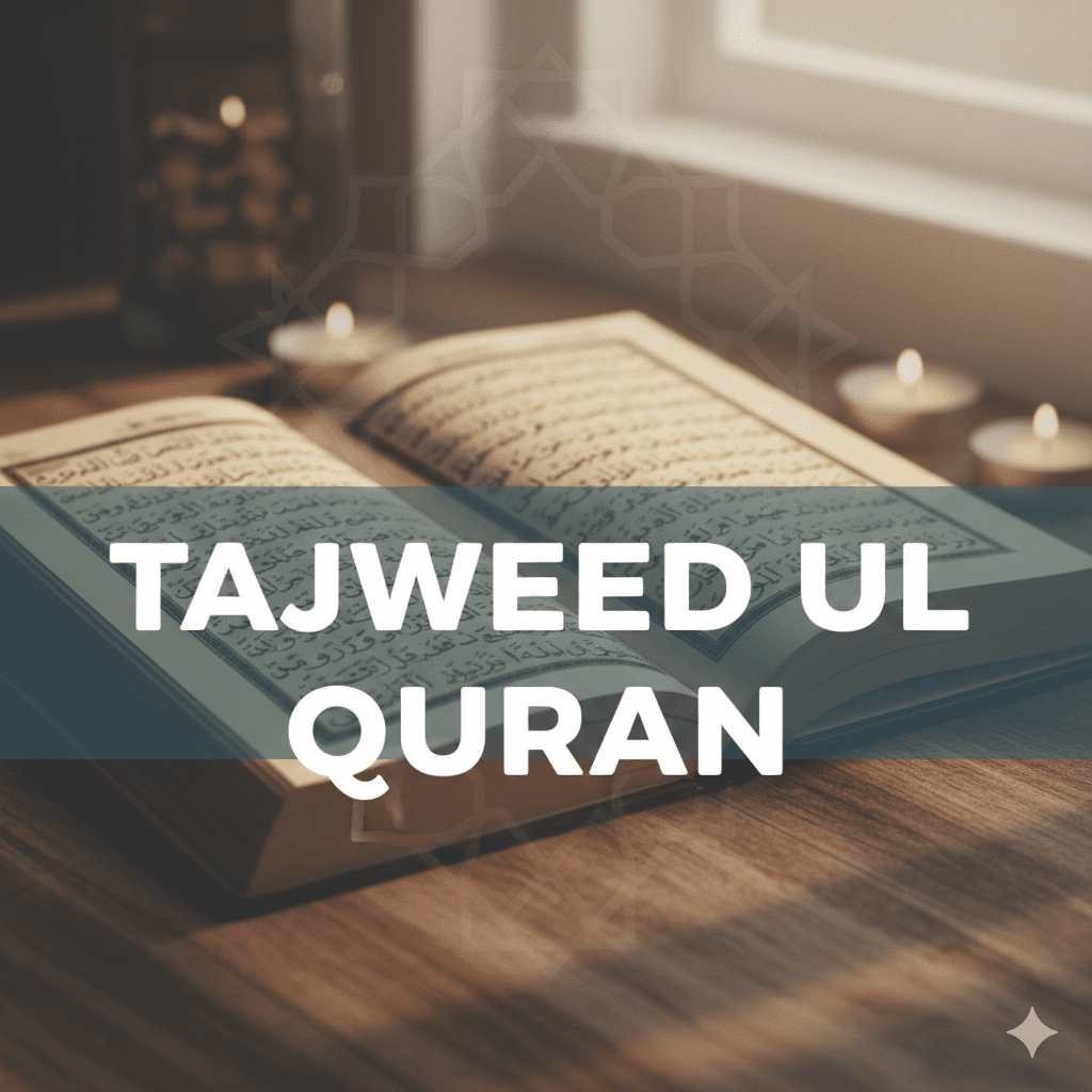 Gemini_Generated_Image_rdpunlrdpunlrdpu Gemini_Generated_Image_rdpunlrdpunlrdpu